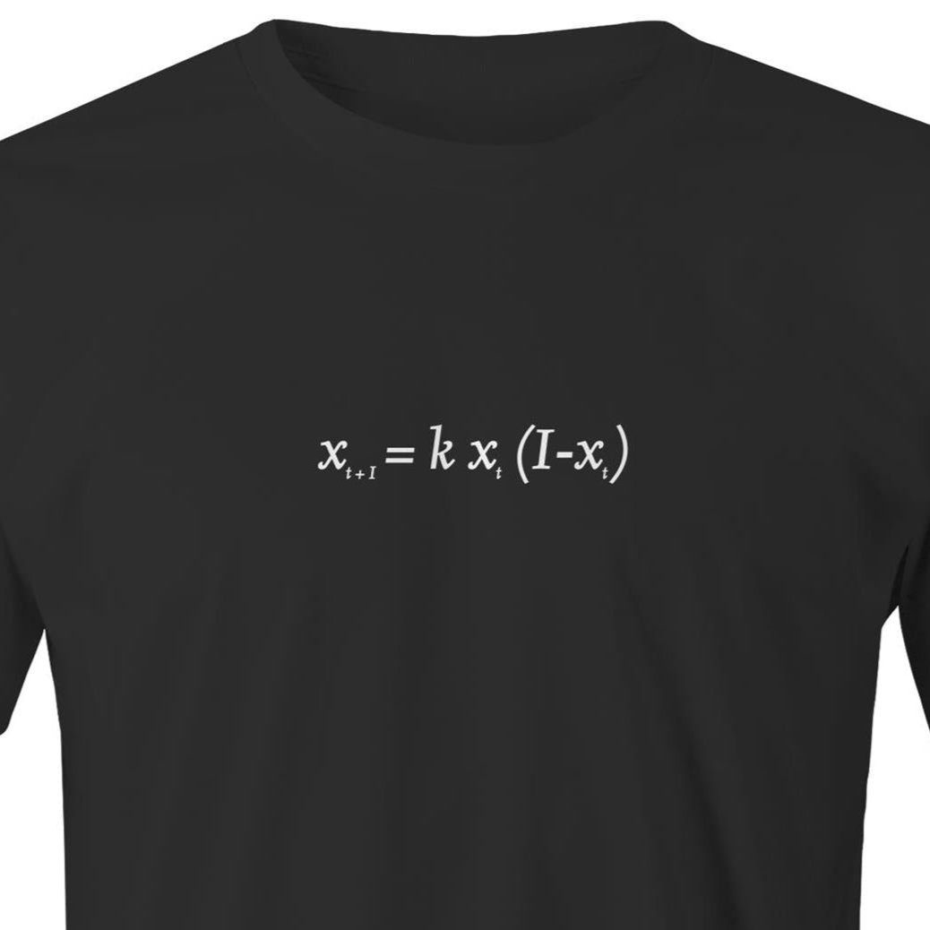 Chaos Theory T-Shirt – Minimalist Science Geek Apparel