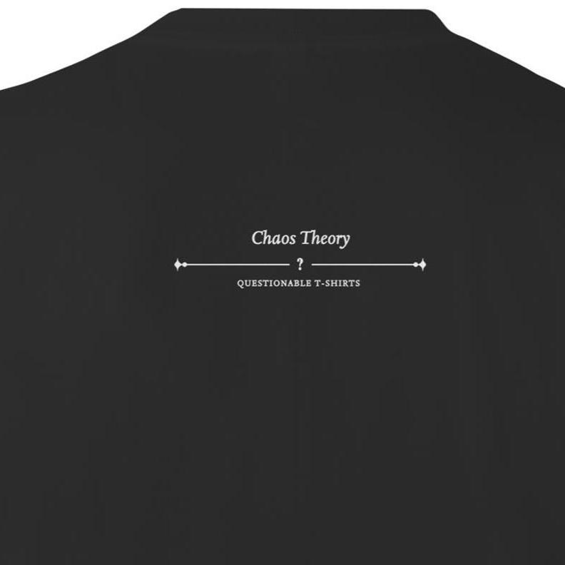 Chaos Theory T-Shirt – Minimalist Science Geek Apparel